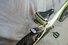 Bild 14 von 24