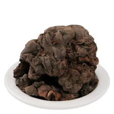 Eva Impex Mochras Whole – Salmalia Malabaricum Supari