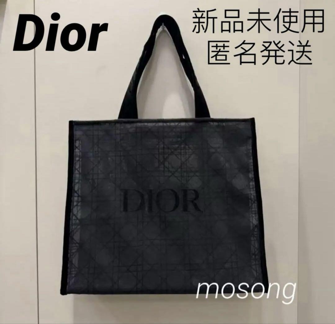 DIOR Mesh Tote Bag Regular Novelty in #97542e On Sale