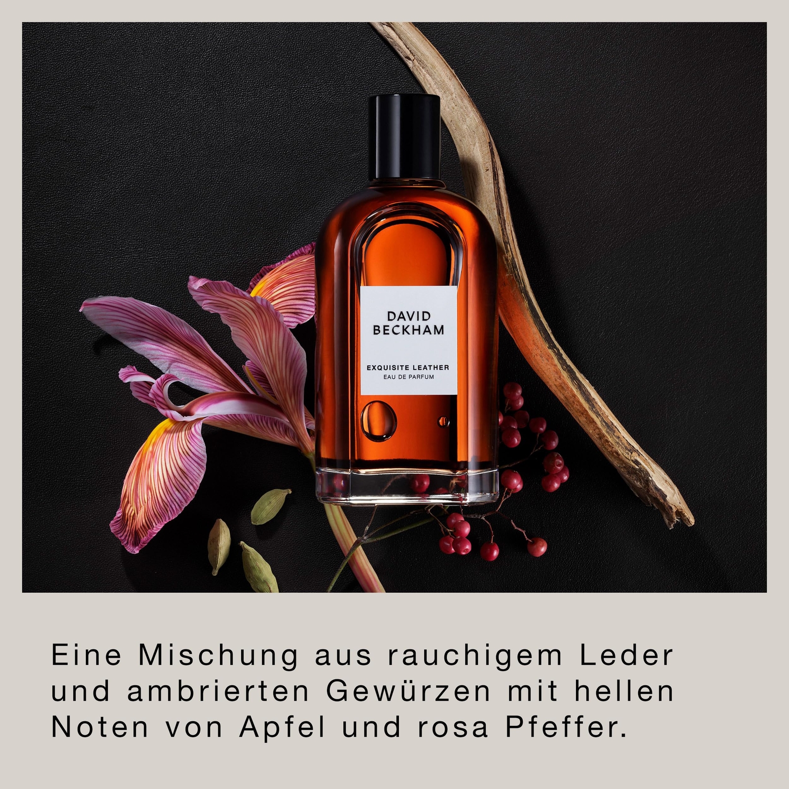 Bild 4 von 6