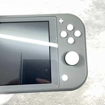 Nintendo Switch Lite Gray Console Only Excellent Condition Region