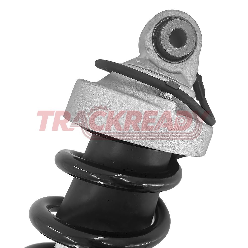 Audi R8 2007-2015 Rear Right Strut assembly
