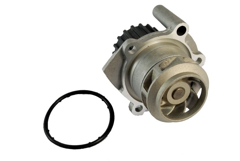 Wasserpumpe, Motorkühlung mechanisch D1W038TT THERMOTEC für SKODA VW SEAT - Bild 3