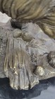 Foto 9 di 10