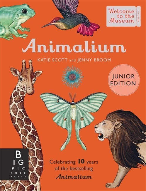 Animalium (Junior Edition) by  Katie Scott Limited, Jenny Broom - 9781800783706