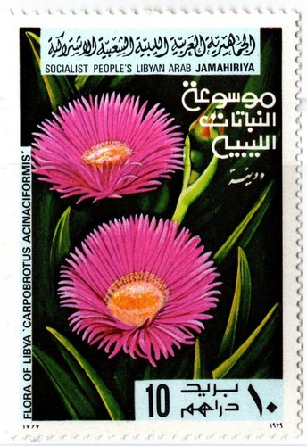LIBYA 1979 FLOWERS SIX STAMPS SET MNH - Picture 2 of 7