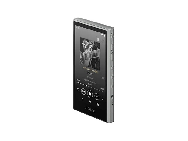 SONY Walkman NW-A306 NW-A307 A series memory type Gray Music 2023