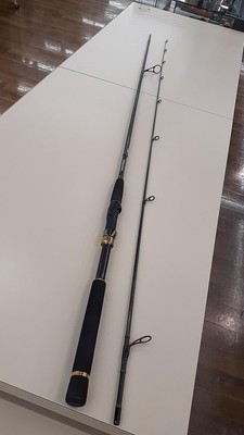 Daiwa Morethan Ags 93Ml 01474015 Sea Bass Rod | eBay