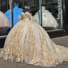 Glittering Champagne Quinceanera Dresses 3D Flower Lace Crystal Train Birthday