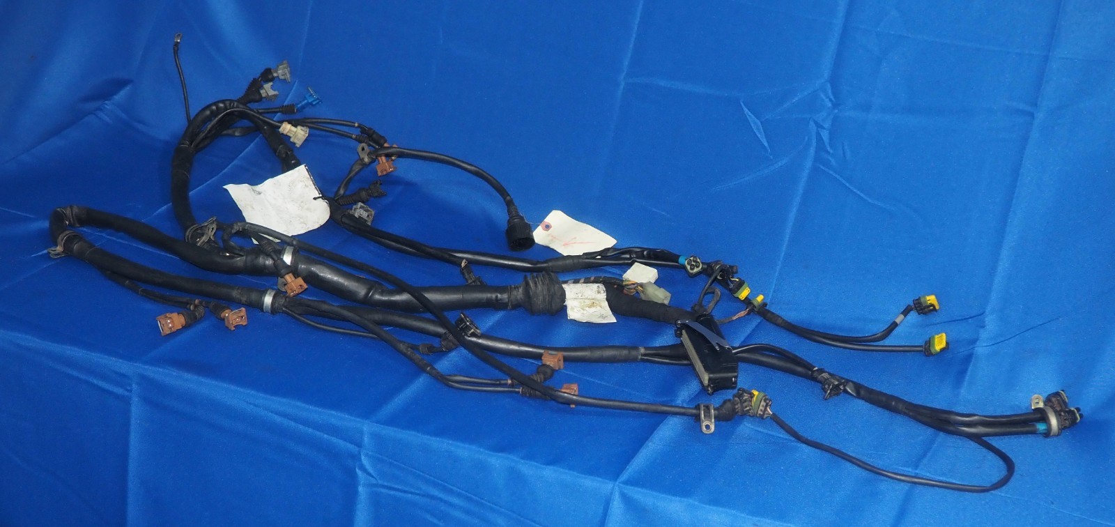1996-1999 Ferrari F355 5.2 Motronic 3.5L V8 Engine Wiring Harness W/F1 Trans OEM