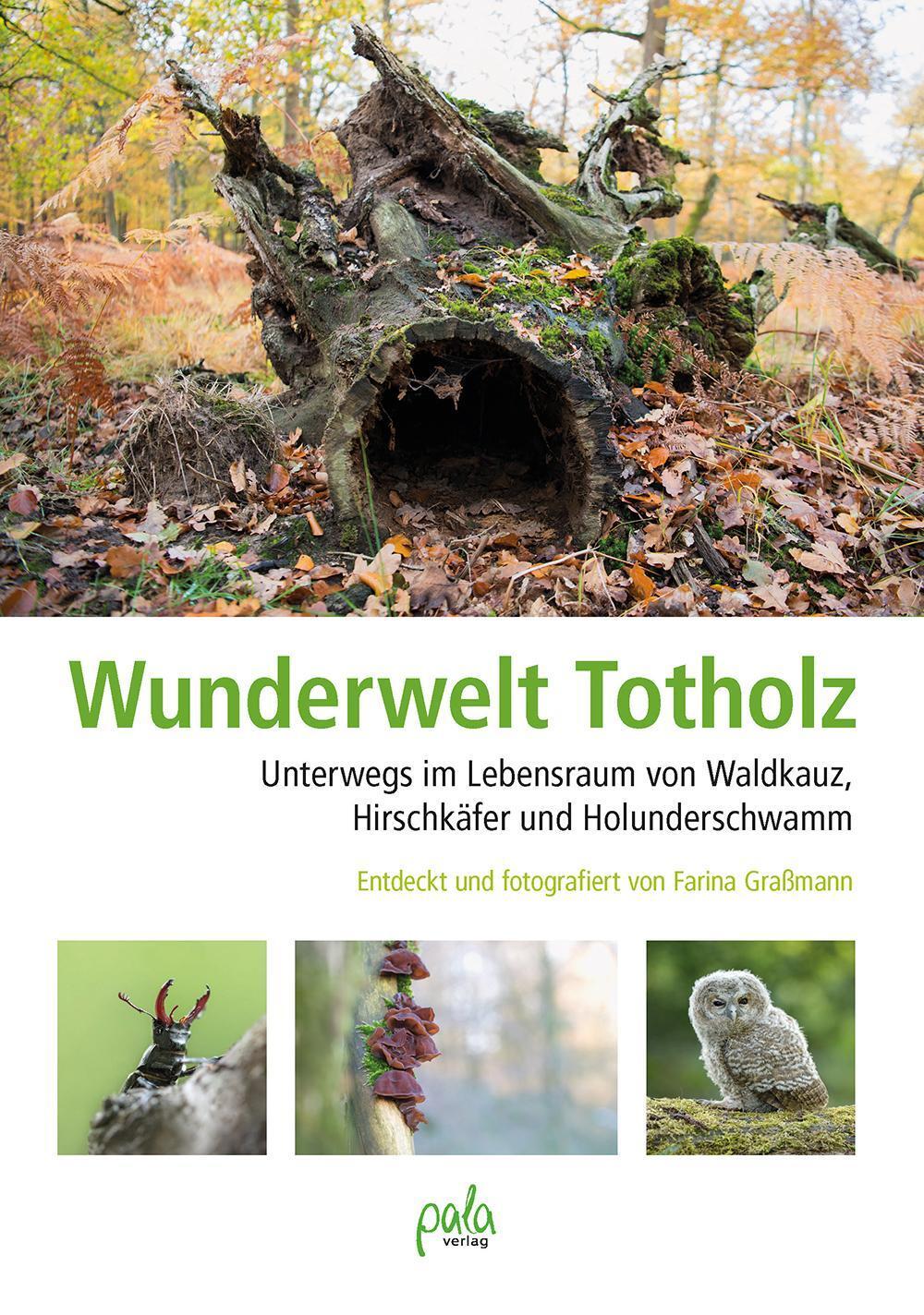 Thumbnail - Wunderwelt Totholz Farina Graßmann