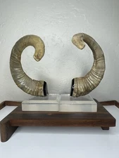 1970s Genuine Ram Horns on Lucite Base Decorative Object Bookends Sculpture