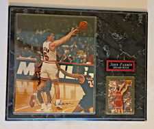 Chicago Bulls Collecting and Fan Guide 86