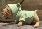 American Bully Bulldog Realistic Lifelike Artist Dog Doll Ooak Reborn Pet  — photo 4