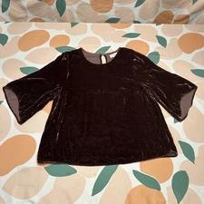 Velvet By Graham & Spencer Blouse Top Women’s Large Burlwood Viscose Silk Velvet