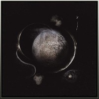 Enthroned - Cold Black Suns Cd New, Black Metal, Urgehal