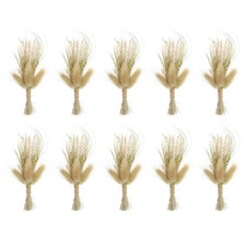 10x Mini Pampasgras getrocknete Blumenstrau&szlig; Atem Boho DIY Geschenk braun