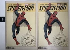 The Amazing Spider Man # 75 Steve Ditko 1:50 Color  Hidden Gem Marvel Lot Of 2