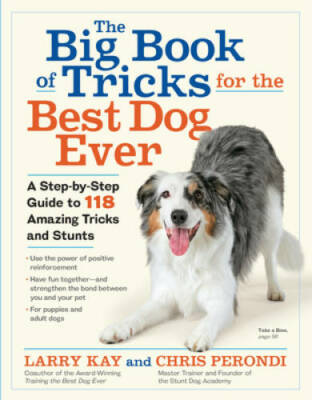 The Big Book of Tricks for the Best Dog Ever: A Step-by-Step Guide t - VERY GOOD