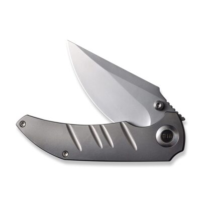 WE Knives Riff-Raff 22020B-4 Frame Lock Bead-Blasted Titanium CPM-20CV Stainless