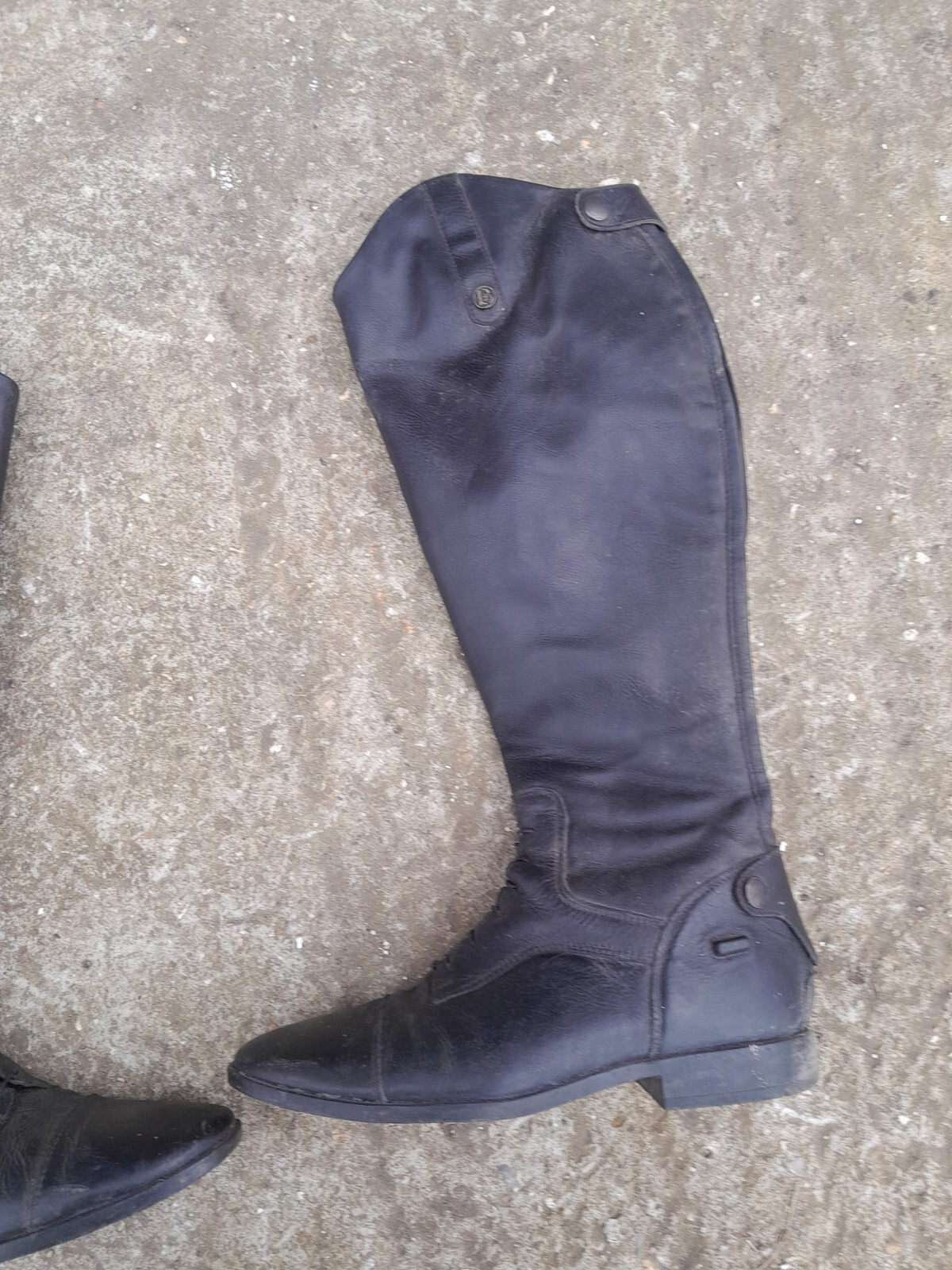 Brogini Long Riding Boots Size 7.5 eBay