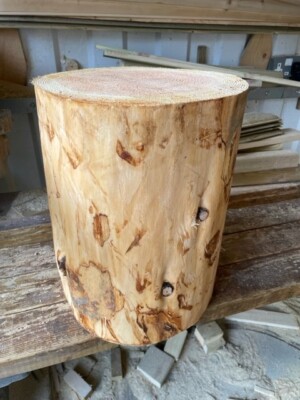 Large Rustic Log Stump/trunk, without bark for stool making or wedding  feature - Main Image