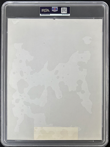 Mike Tyson Signed 1987 Type 3 Photograph PSA/DNA Working The Bike - Picture 3 of 3