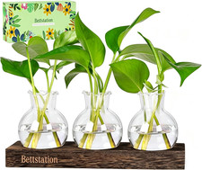 Plant Propagation Station, Plant Terrarium with Wooden Stand Glass Planter for H