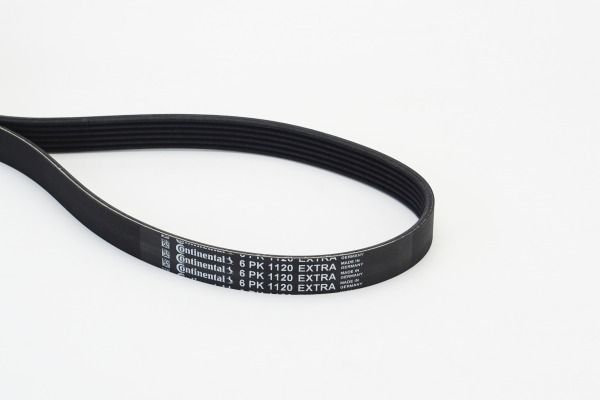 Continental Ctam Keilrippenriemen 6PK1120 Extra FüR Audi-image
