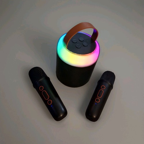 Portable Karaoke Box Bluetooth Speaker with Dual Microphone Outdoor karaoke