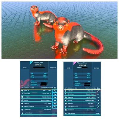 High Stat Erwachsene Aberrant Otter Paarung Paar - Arche Überleben aufgestiegen Crossplay PVE