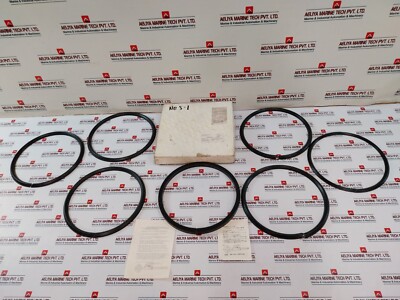 NIPPON VALQUA B1010.110 V Packing Set SIZE-285X317X49
