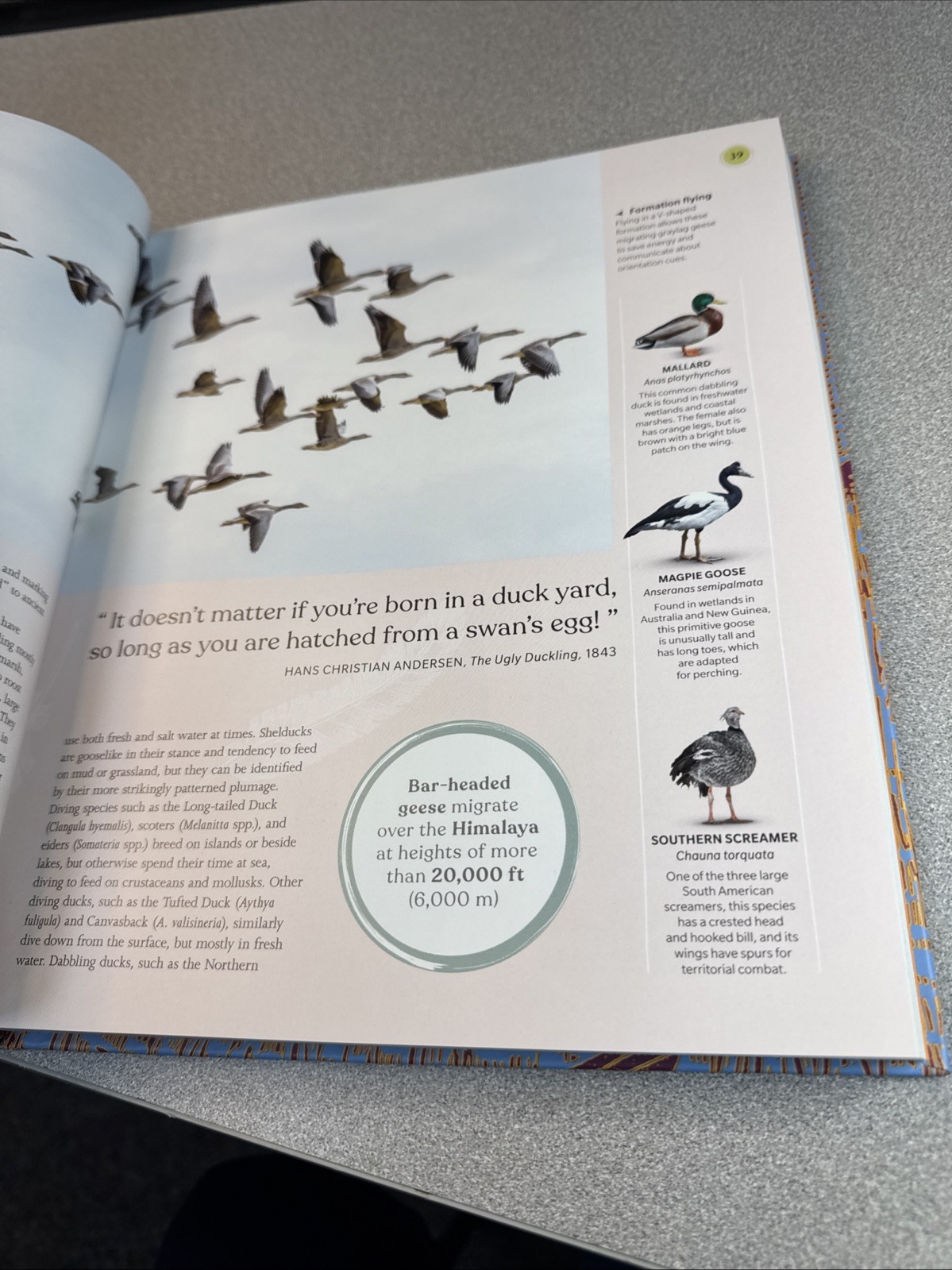 The Bird Book: The Stories, Science, and History of Birds (DK Nature ...