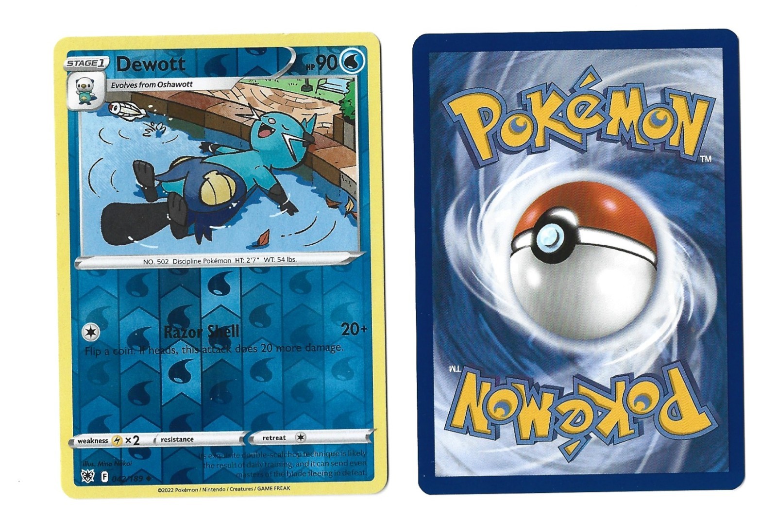 Dewott 042/189 Reverse Holo Uncommon Astral Radiance Pokemon Pack Fresh image 3
