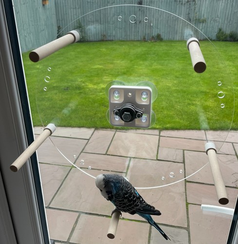 Vogel Sitzstange Rad, drehbares Vogelrad Spielzeug für kleine - mittlere Vögel, 3 oder 5 Sitzstangen - Bild 16 von 16