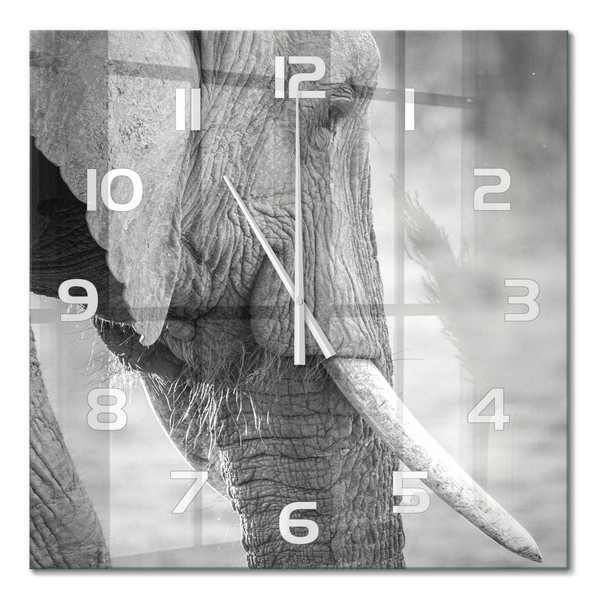 Minimalistische Wanduhr Aus GehäRtetem Glas Elefant WeißE Zeiger 60X60 Cm-image