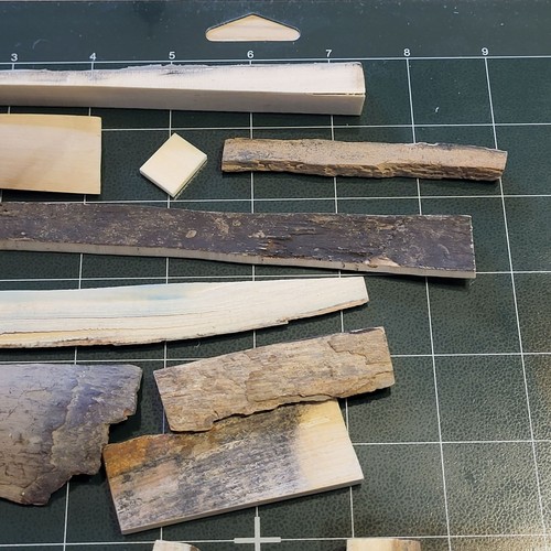 Petrified 32 Wood Pieces Branches Jewelry Making Collecting Pieces - Picture 7 of 18