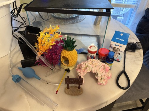 Top Fin Fish aquarium 3 Gallon With Led Hood And Everything Pictured