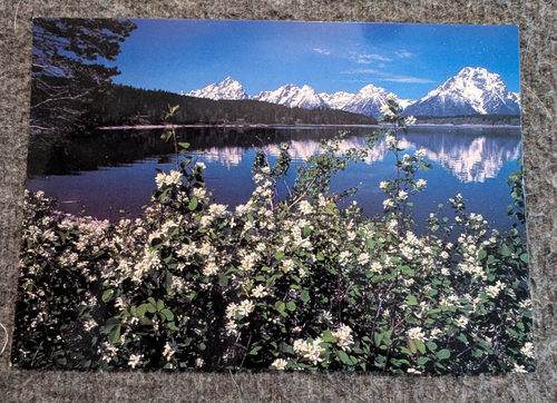GRAND TETON NATIONAL PARK Snowcapped Mt. Moran Post Card UNPOSTED - 第 1/10 張圖片