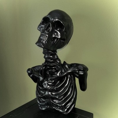 New CHRISTIAN SIRIANO Black Skeleton Hanging Halloween 3D Wall Art Decor NIB
