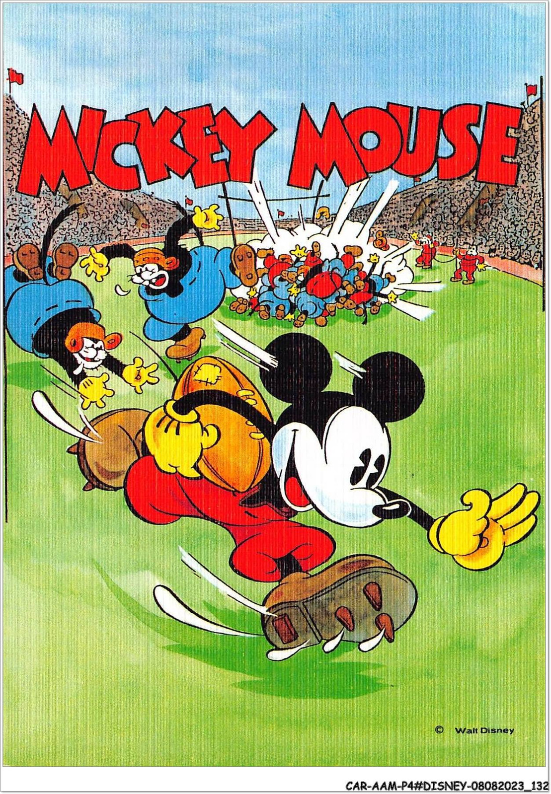 disney grafikus minakwon myct カーミット　ラグビー s-l1600.jpg