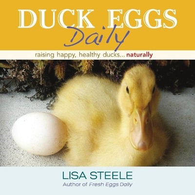 Lisa Steele Duck Eggs Daily (Gebundene Ausgabe)