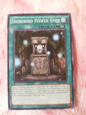Yu-Gi-Oh! Shinobird Power Spot RATE-EN061 Raging Tempest Common TCG Card