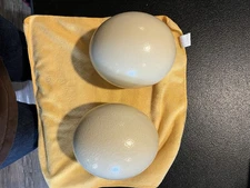 Empty Ostrich Eggs  Drilled for Drainage