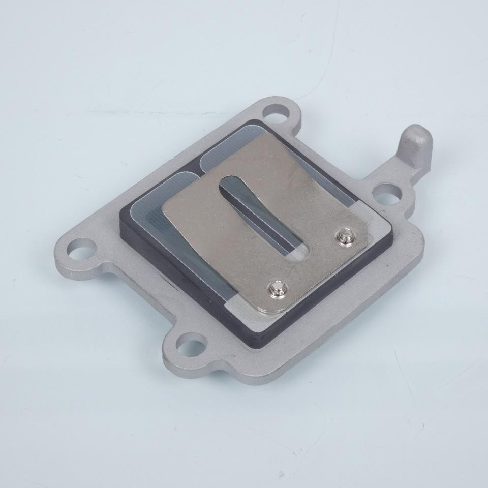 Clapet d admission Replay contre les trous d acceleration sur Yamaha Slider 50