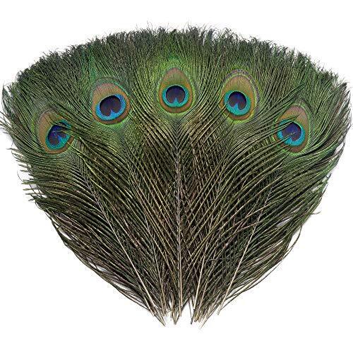 12 PCS Real Natural Peacock Eye Feathers 10-12 inch for DIY Crafts & Wedding