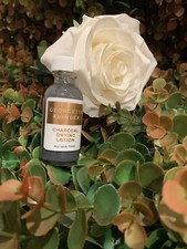 Georgette Klinger Charcoal Drying Lotion Acne Calming Spot Treatment