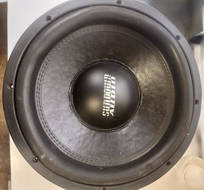Custom Built Sundown 12  Subwoofer