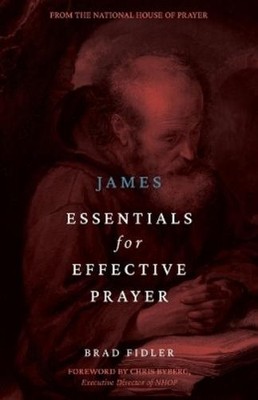 Brad Fidler James (Paperback)