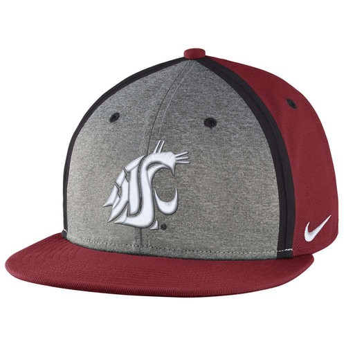 Nike Washington State Cougars Sideline 